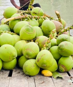 Alternative view of বড় সাইজের ডাব