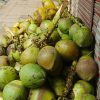 মাঝারি (স্টান্ডার্ড)